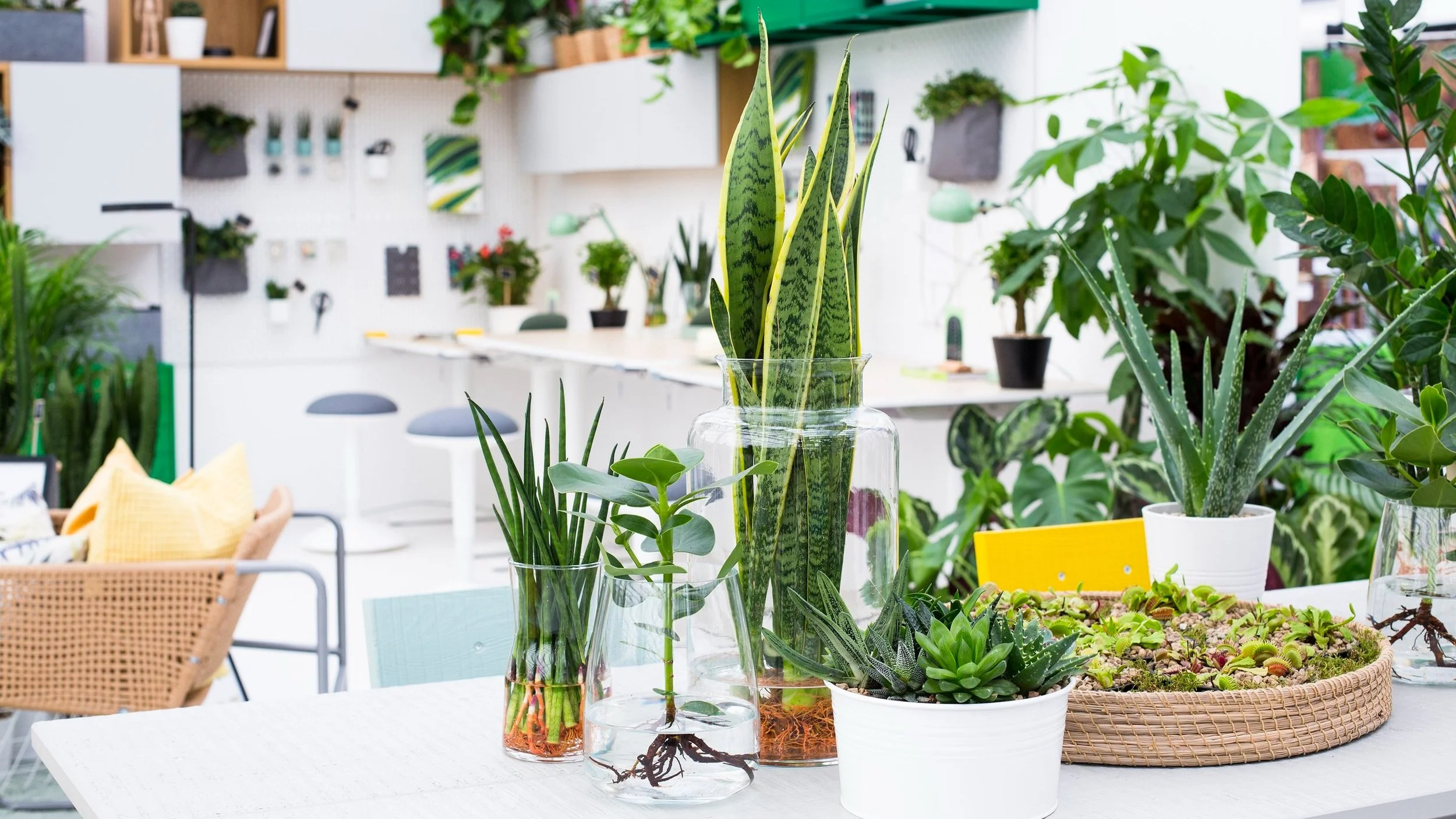 Verified land and plot investment project