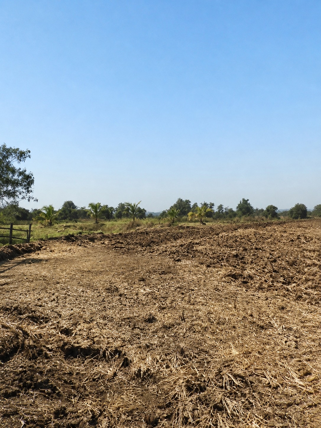 Commercial Plots