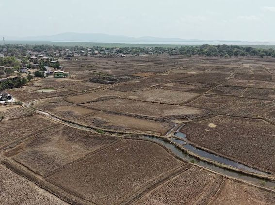 Dam View Plots